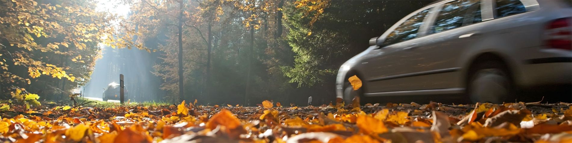 herbst a95e711e5fdad6dg0d190221c18f59c3