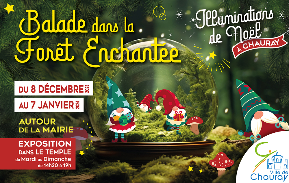 2023 Illumination de Noël F